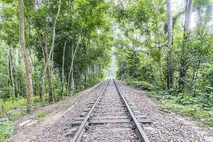 Sylhet Division — surgeon on SurgeryBD